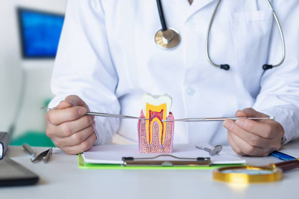Best Chipped Tooth Repair Near Me  in Morgantown, PA